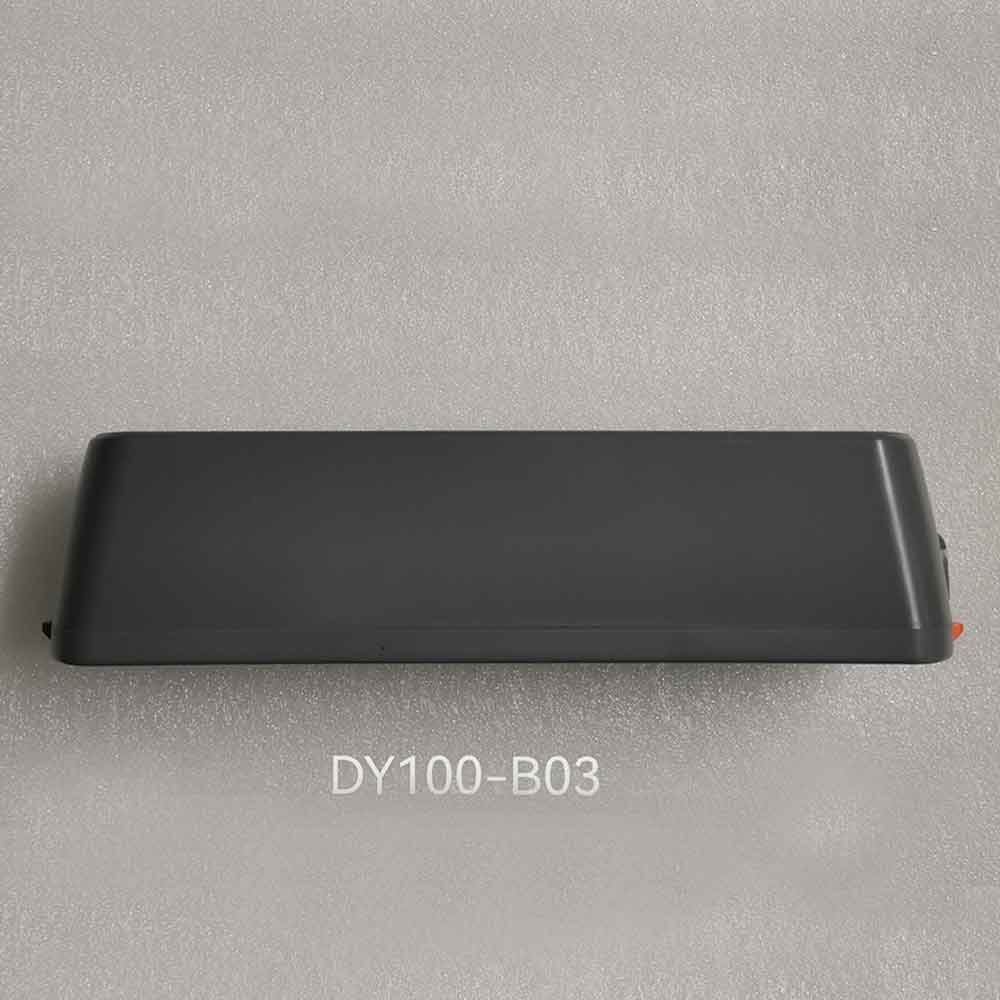 DY100-B03 Batteria