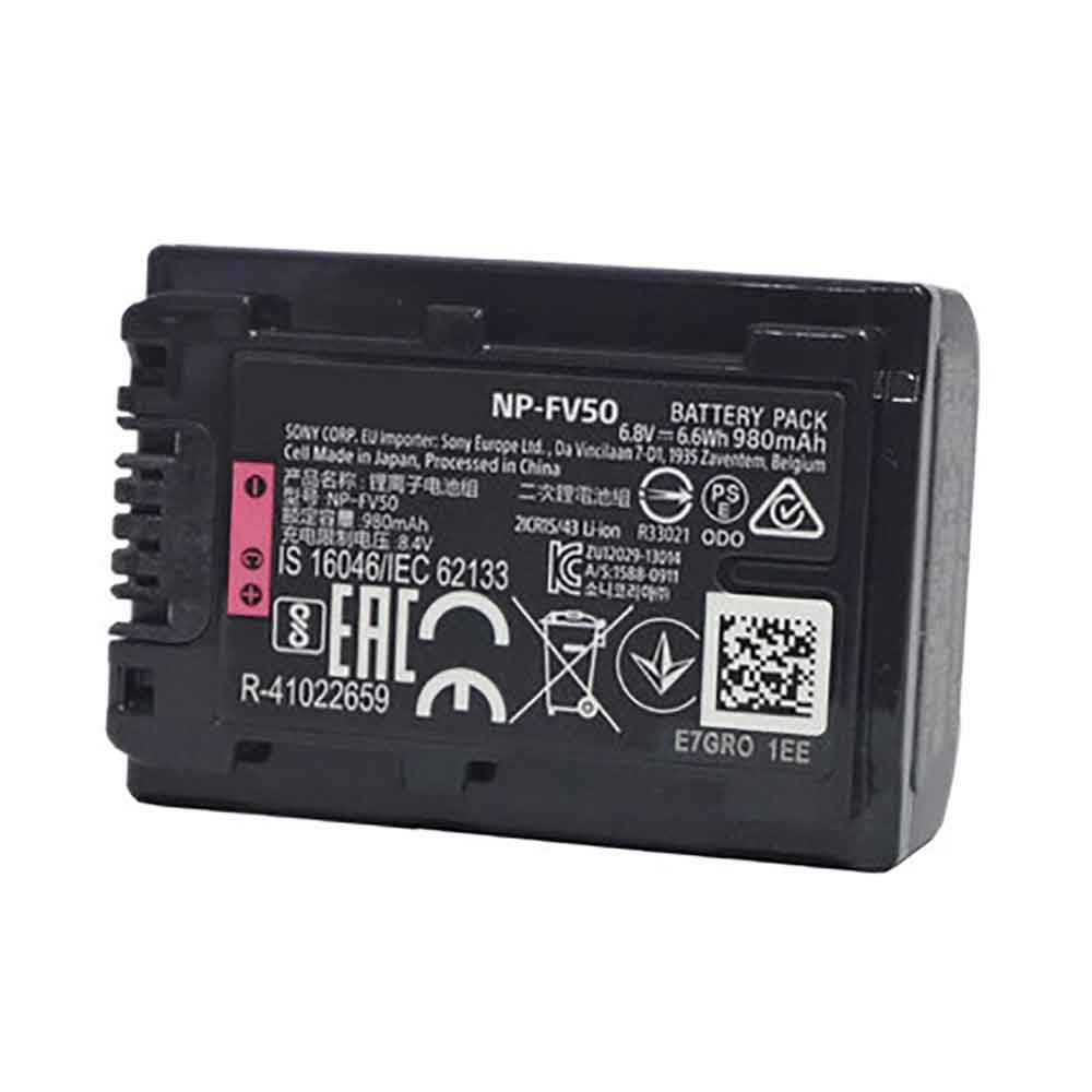 Sony PJ820E PJ610E AX100E Batteria